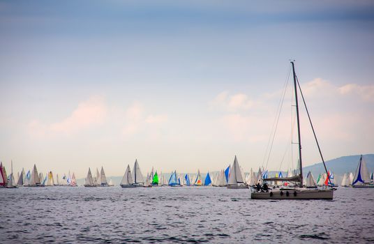 View of the 46 Barcolana regatta in Trieste sea