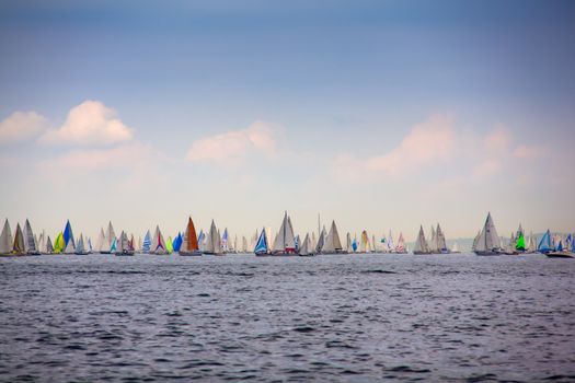 View of the 46 Barcolana regatta in Trieste sea