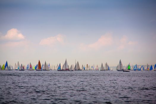 View of the 46 Barcolana regatta in Trieste sea