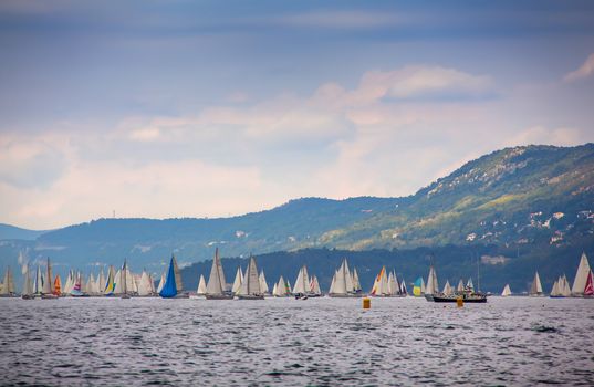 View of the 46 Barcolana regatta in Trieste sea