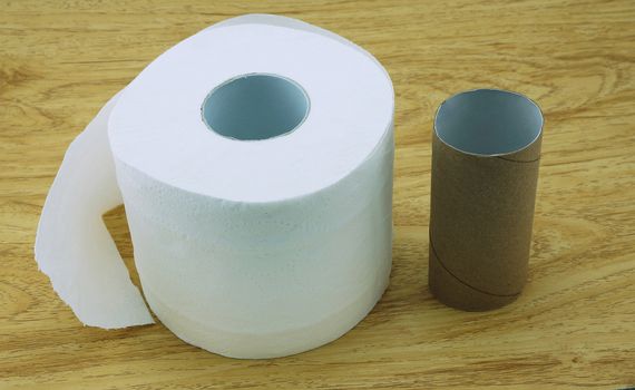 Roll of toilet paper and a core of rolls, placed on the wooden floor.                               