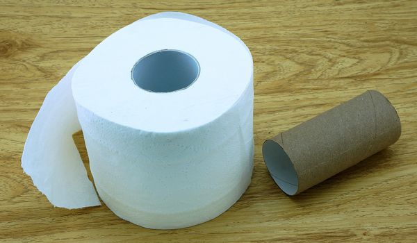 Roll of toilet paper and a core of rolls, placed on the wooden floor.                               