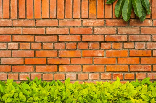 brick wall with the leaf