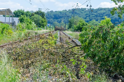 Train route through the storm damage no longer passable, locked.