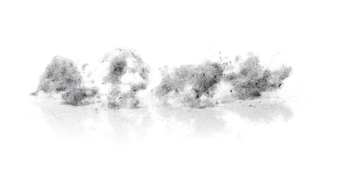 Dust bunnies on white reflecting background