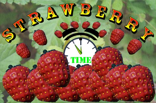 Announcement at the upcoming Strawberry time
