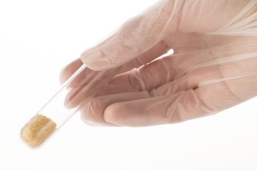 Gloved hand holding test tube with brown grains on white background.