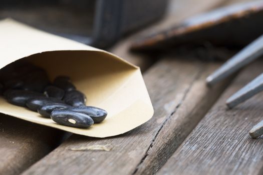 Black green beans seeds in packet on garden table ready for planting.