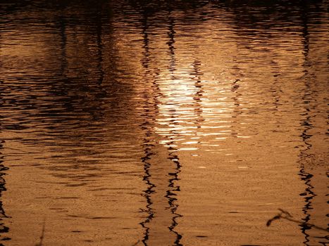 Reflectionen the evening sun on the water.
