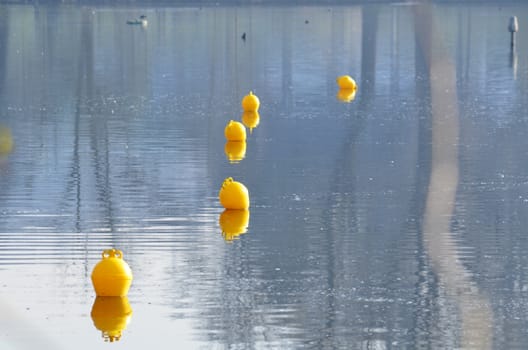 Buoys are called navigational marks or navaid.