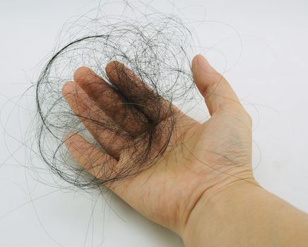 Long black hair fall as clusters in the hands of women.                               