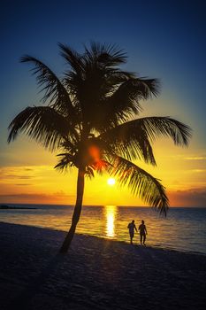 View of palm tree and lovers on a beach at sunset, Key West, USA
