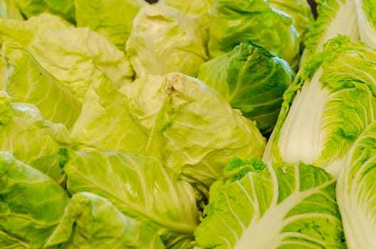 Beautiful cabbage from organic farming offered for sale on a market.