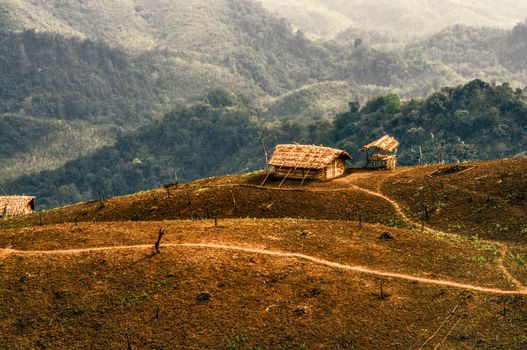 Traditional tribal settlement in remote region of Nagaland, India