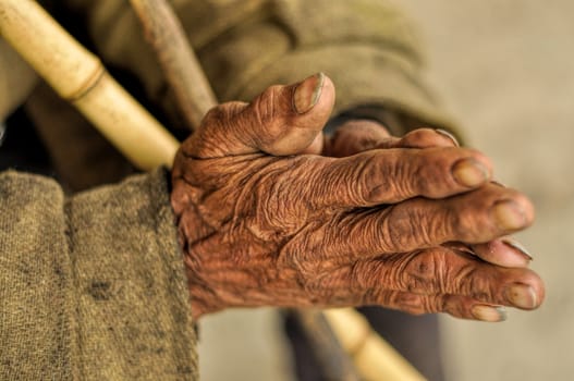 Wrinkled hands of an Indian holding a stick