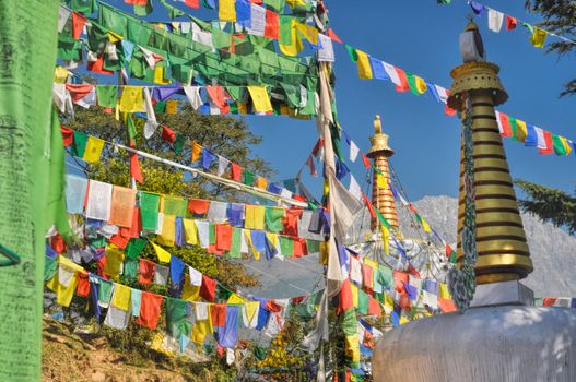 Colorful buddhist prayer flags in town of  Dharamshala, Himachal Pradesh, India