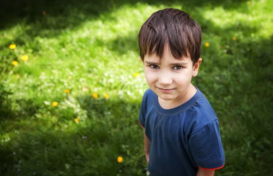 Portrait of a cute boy standing against green grass background