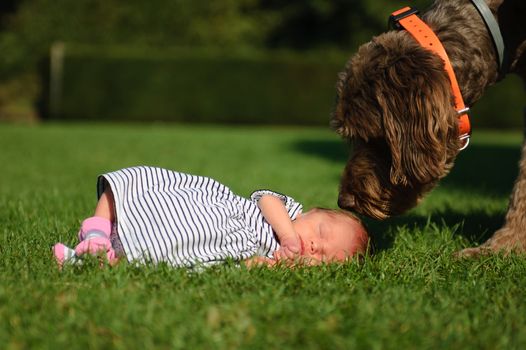 Photo of a baby girl with her big dog next to her