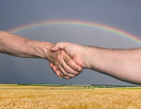 Handshaking. Shaking hands of two male people against golden wheat field with rainbow