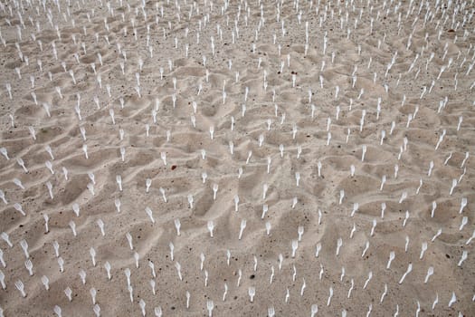 Abstract conceptual landscape. Sand and a large number of white plastic forks