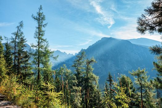View of High Tatra Mountains from hiking trail. Slovakia. Europe.