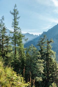 View of High Tatra Mountains from hiking trail. Slovakia. Europe.