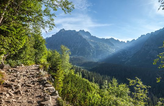 View of High Tatra Mountains from hiking trail. Slovakia. Europe.