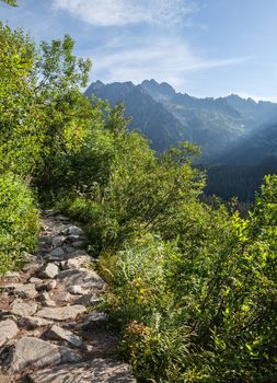 View of High Tatra Mountains from hiking trail. Slovakia. Europe.