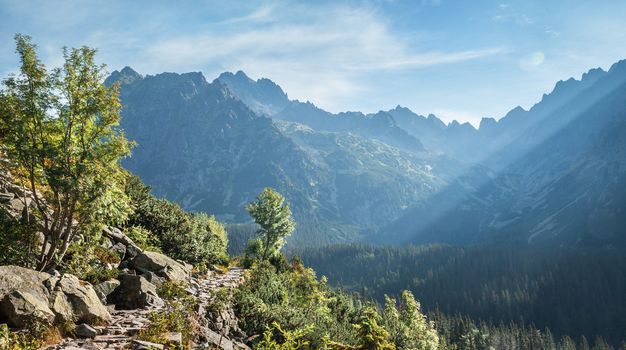 View of High Tatra Mountains from hiking trail. Slovakia. Europe.