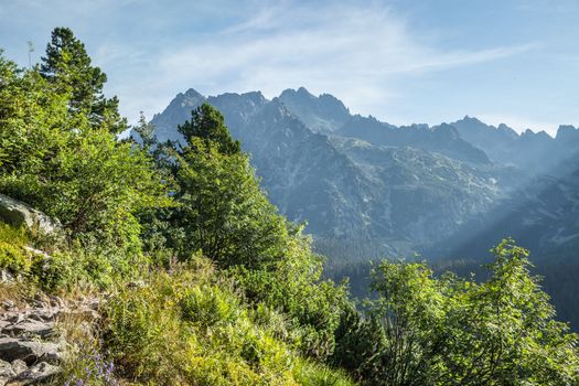 View of High Tatra Mountains from hiking trail. Slovakia. Europe.