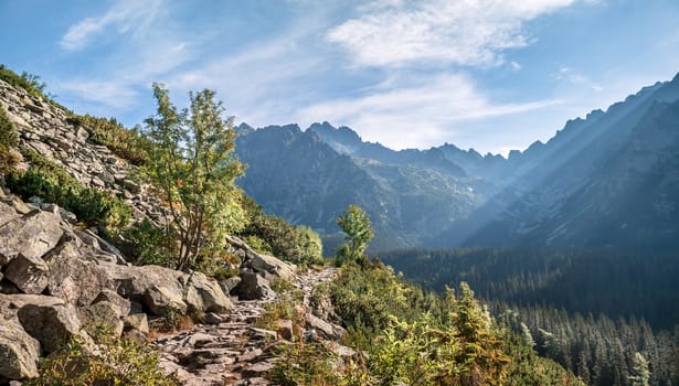 View of High Tatra Mountains from hiking trail. Slovakia. Europe.