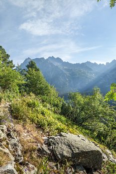 View of High Tatra Mountains from hiking trail. Slovakia. Europe.