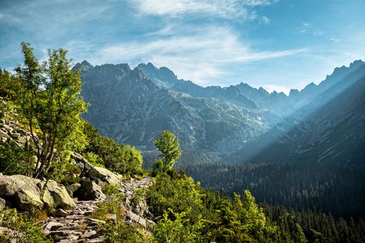 View of High Tatra Mountains from hiking trail. Slovakia. Europe.