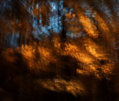 Abstract motion blur of trees in an autumn forest