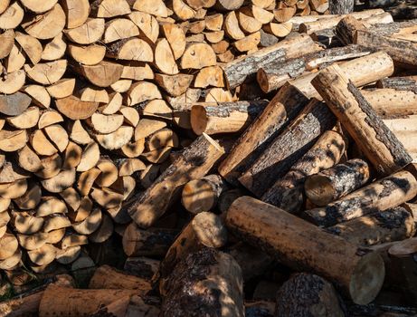 Pile of wood logs ready for winter