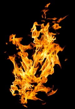 Orange fire flames on a black background