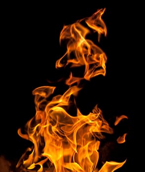 Orange fire flames on a black background