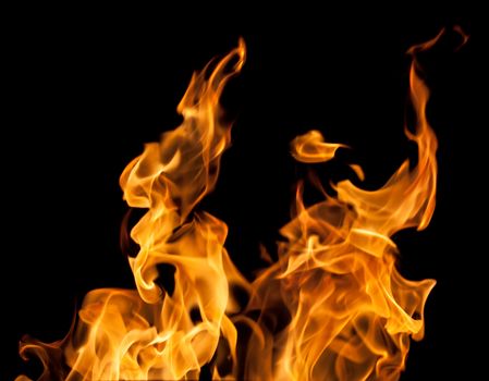 Orange fire flames on a black background