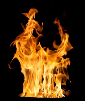 Orange fire flames on a black background