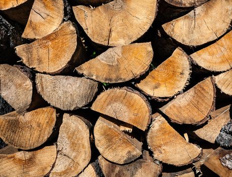 Pile of wood logs ready for winter