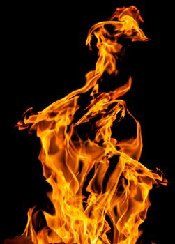 Orange fire flames on a black background