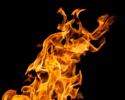 Orange fire flames on a black background