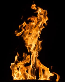 Orange fire flames on a black background
