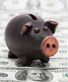 Finance and economy concept. Money and black piggy bank