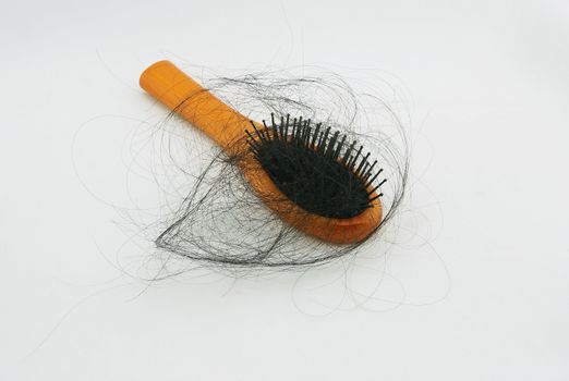 Many long black hair Loss are clumps the hair comb.                               