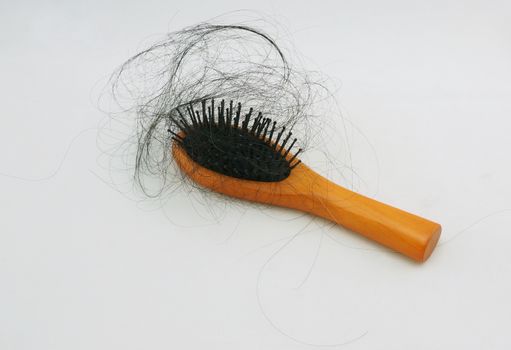 Many long black hair Loss are clumps the hair comb.                               