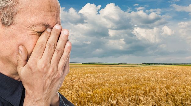 The war in Ukraine. Elderly man covered his face against wheat field and blue sky with clouds. Background is a stylization of Ukrainian flag