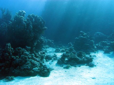 view at coral reaf with sunbeams at the bottom of tropical sea