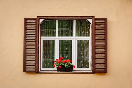 Window with shutters and flower at beige wall