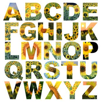 alphabet a to z made from lotus flower picture